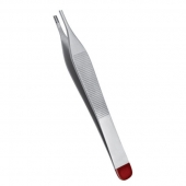 Single Use Brown Forceps